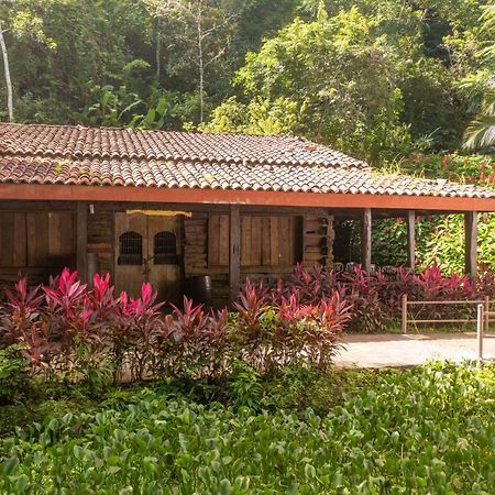 Villa Lapas Jungle Village Tárcoles Exterior foto